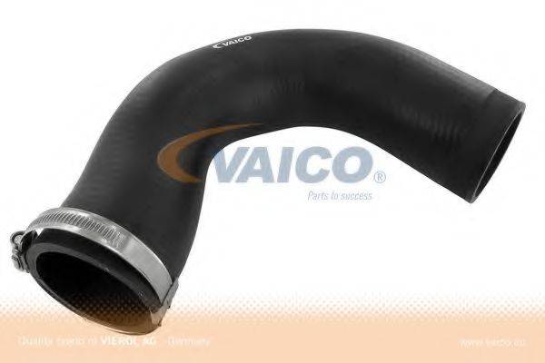 VAICO V102830 Трубка повітря, що нагнітається