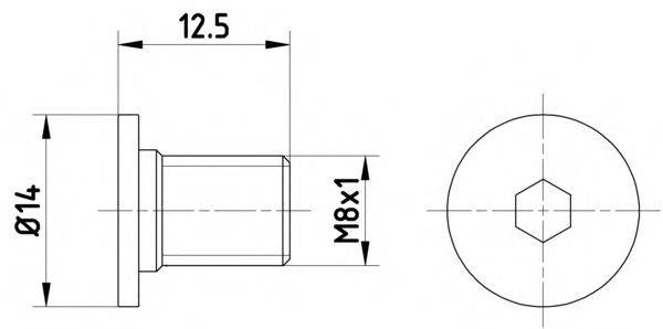 Болт, диск гальмівного механізму HELLA 8DZ 355 209-021