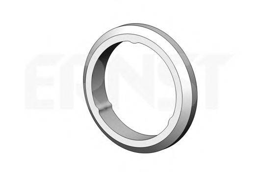 Уплотнительное кольцо трубы выхлопного газа ERNST 498678