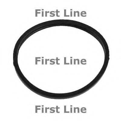 Термостат FIRST LINE TG048