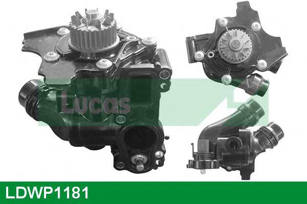 LUCAS ENGINE DRIVE LDWP1181 Водяной насос
