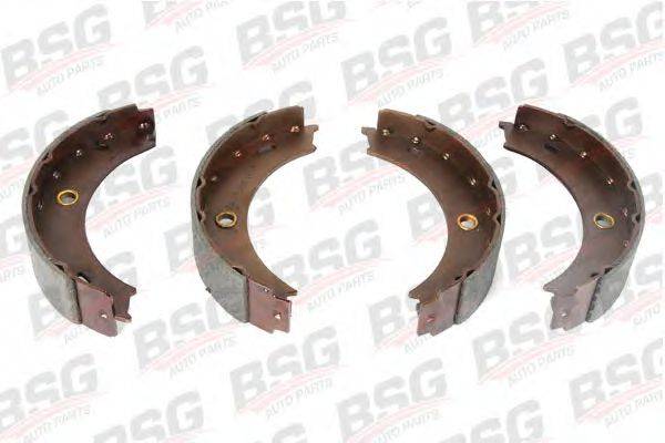 BSG BSG60205004 Комплект тормозных колодок, стояночная тормозная система