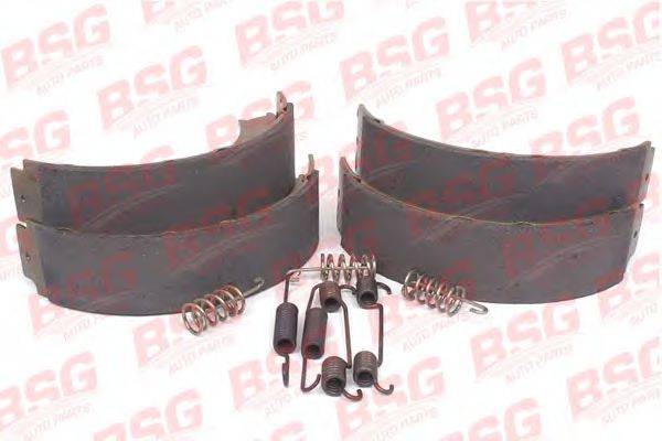 BSG BSG60205005 Комплект гальмівних колодок, стоянкова гальмівна система